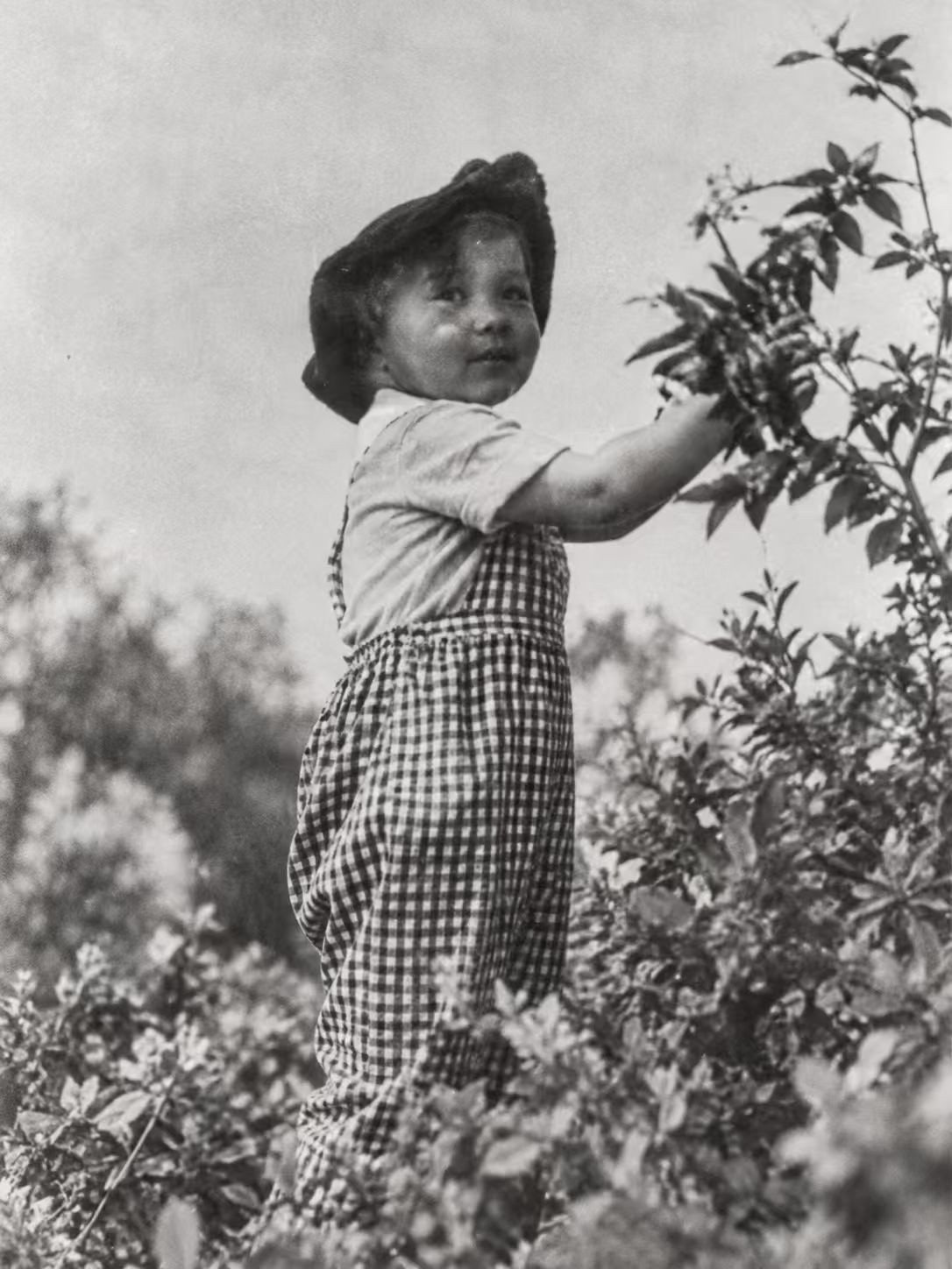 Mountain Xie as a small child in the fields
